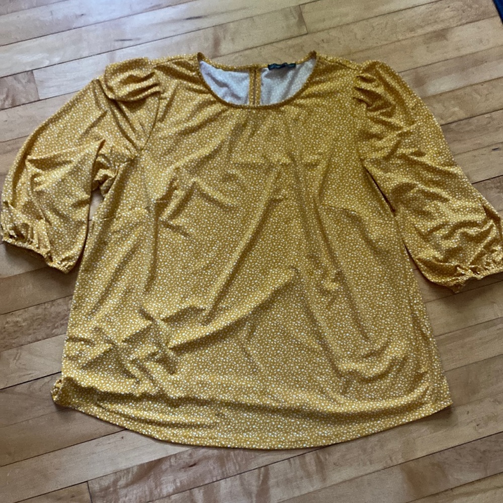 Adrianna Papell blouse 1x